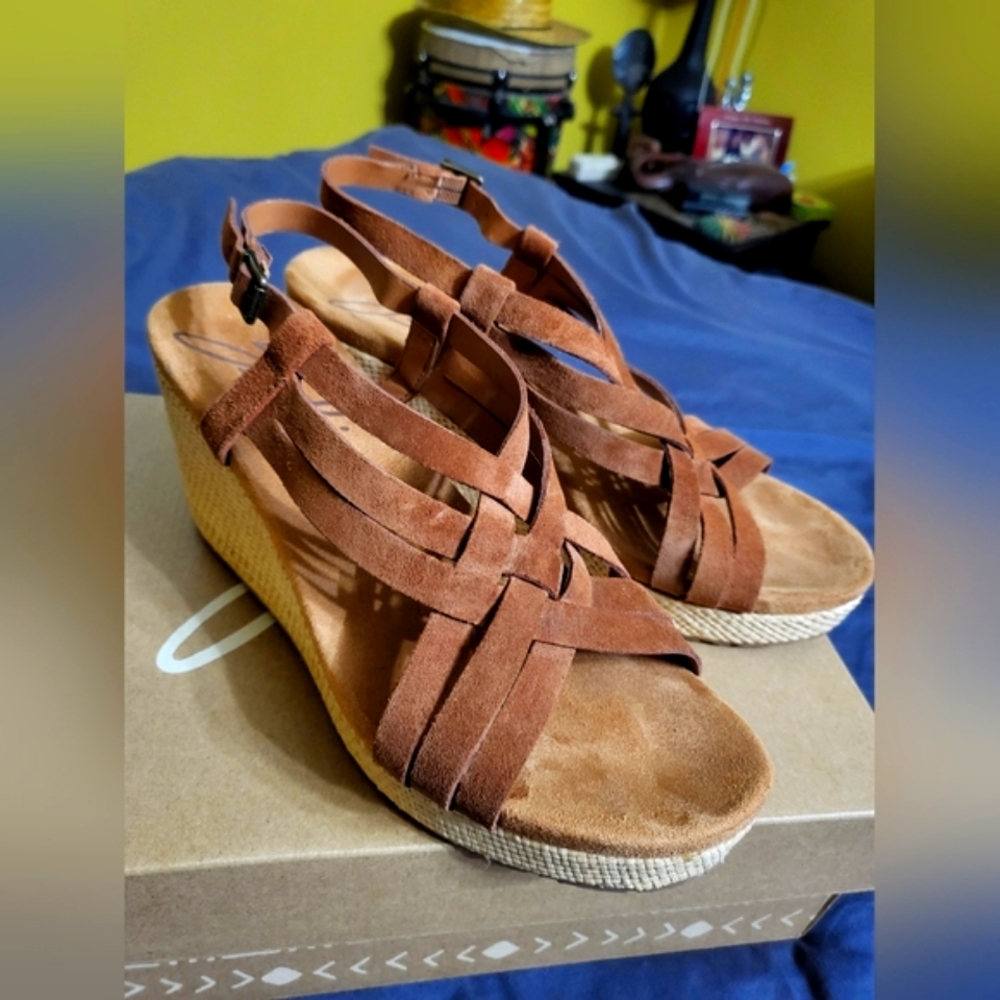 Great condition! Zodiac Wedge Sandals
